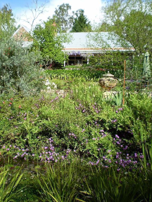 Redgum Hill Country Retreat Guest House Balingup Rom bilde